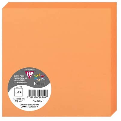 Clairefontaine 2836C – Paquet de 25 cartes doubles Pollen de couleur Clémentine format 135x135 mm 210g
