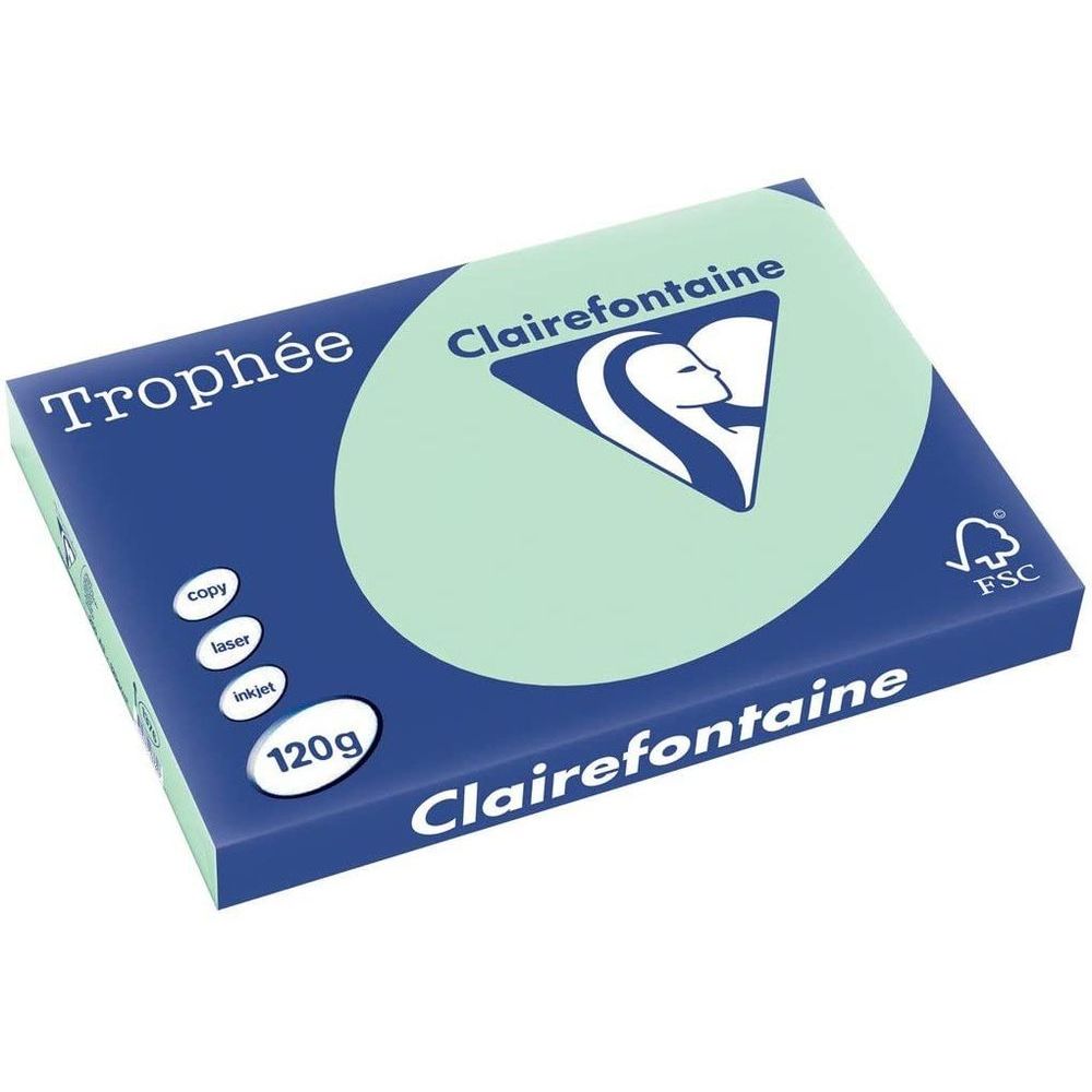 Clairefontaine - Papier Couleur - A3 - 120 g/m² - 250 feuilles - Vert