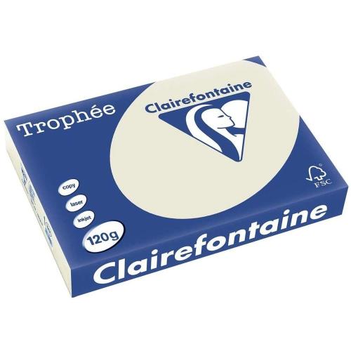 Clairefontaine 1201C - Ramette Papier A4 120g Trophée Gris Perle - 250 feuilles au format A4 (21x29,7cm)