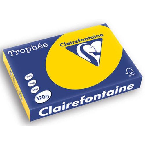 Clairefontaine 1206C - Ramette Papier A4 120g Trophée Bouton d'Or - 250 feuilles au format A4 (21x29,7cm)