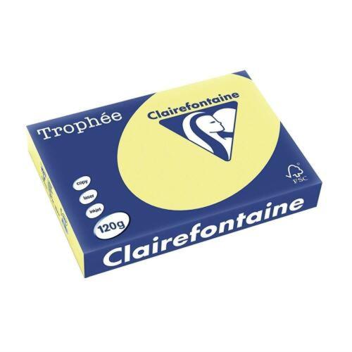 Clairefontaine 1207C - Ramette Papier A4 120g Trophée Jonquille - 250 feuilles au format A4 (21x29,7cm)
