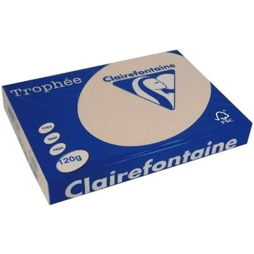 Clairefontaine 1209C - Ramette Papier A4 120g Trophée Saumon - 250 feuilles au format A4 (21x29,7cm)