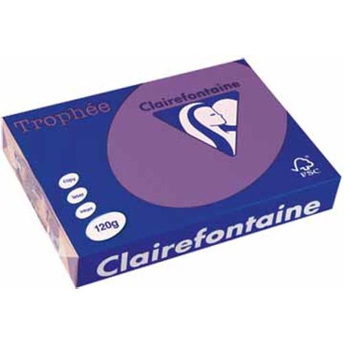 Clairefontaine 1220C - Ramette Papier A4 120g Trophée Violet - 250 feuilles au format A4 (21x29,7cm)