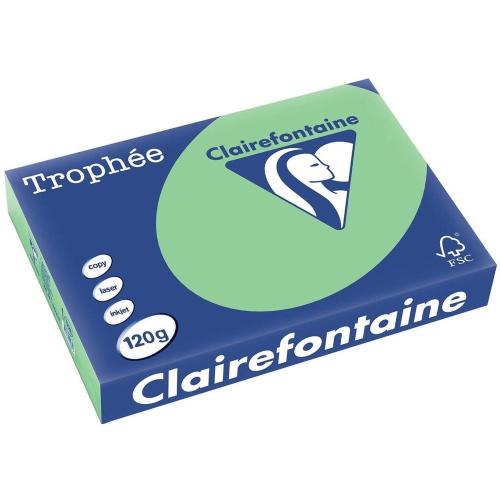 Clairefontaine 1228C - Ramette Papier A4 120g Trophée Vert nature - 250 feuilles au format A4 (21x29,7cm)