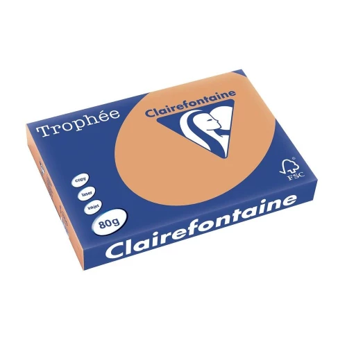 Clairefontaine Trophée - Papier Couleur - A3 (297 x 420 mm) - 80 g/m² - 500 feuilles - Caramel