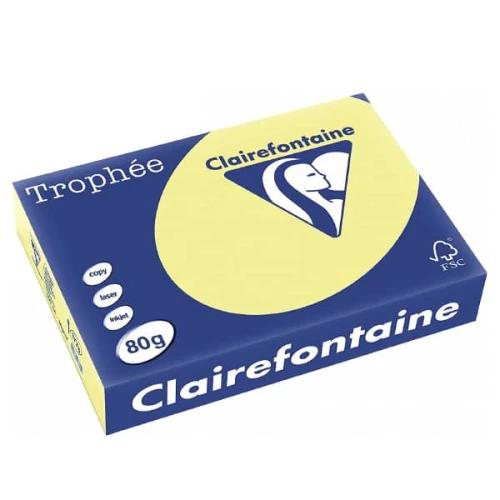 Clairefontaine 1778C - Ramette Papier A4 80g Trophée Jonquille - 500 feuilles au format A4 (21x29,7cm)