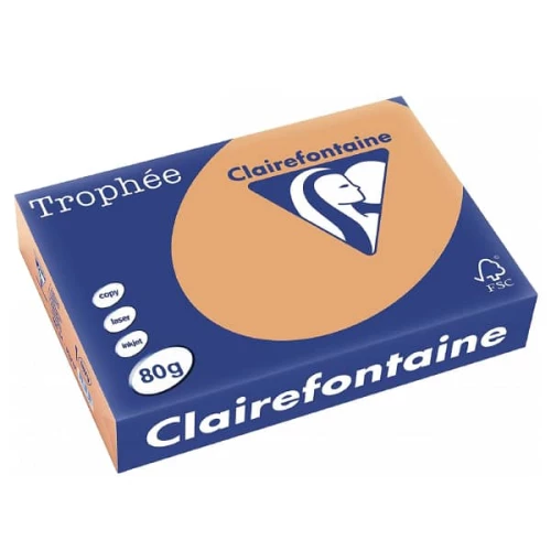 Clairefontaine 1879C - Ramette Papier A4 80g Trophée Caramel - 500 feuilles au format A4 (21x29,7cm)
