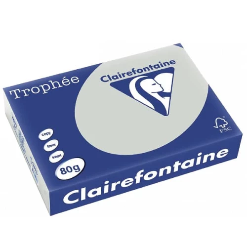 Clairefontaine 1993C - Ramette Papier A4 80g Trophée Gris Acier - 500 feuilles au format A4 (21x29,7cm)