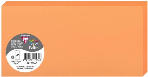 Clairefontaine 12536C – Paquet de 25 cartes doubles Pollen de couleur Clémentine format 106x213 mm 210g