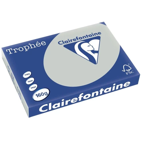 Clairefontaine Trophée - Papier Couleur - A3 (297 x 420 mm) - 160 g/m² - 250 feuilles - Gris Acier